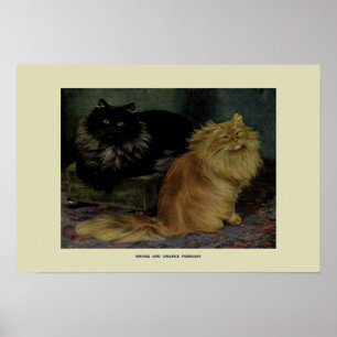 Vintage Illustration of Cats Poster