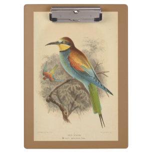 Vintage illustration of European Bee-Eater Clipboard