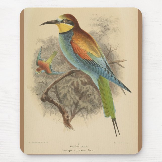 Vintage illustration of European Bee-Eater Mouse Mat (Front)
