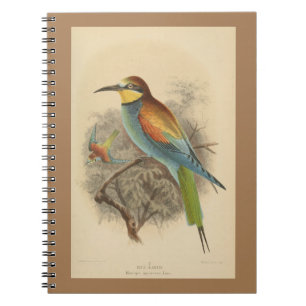 Vintage illustration of European Bee-Eater Notebook