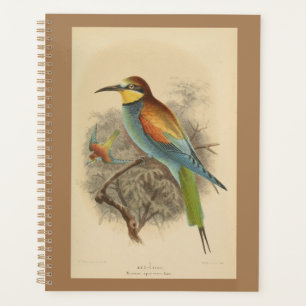 Vintage illustration of European Bee-Eater Planner