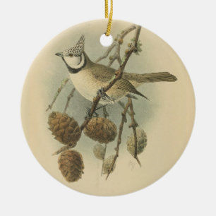 Vintage Illustration of European Crested Tit Ceramic Tree Decoration