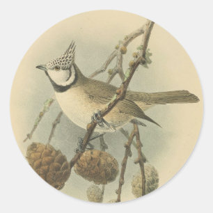 Vintage Illustration of European Crested Tit Classic Round Sticker