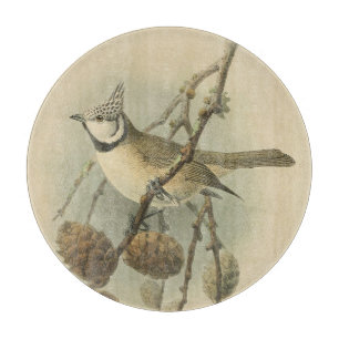 Vintage Illustration of European Crested Tit Cutting Board