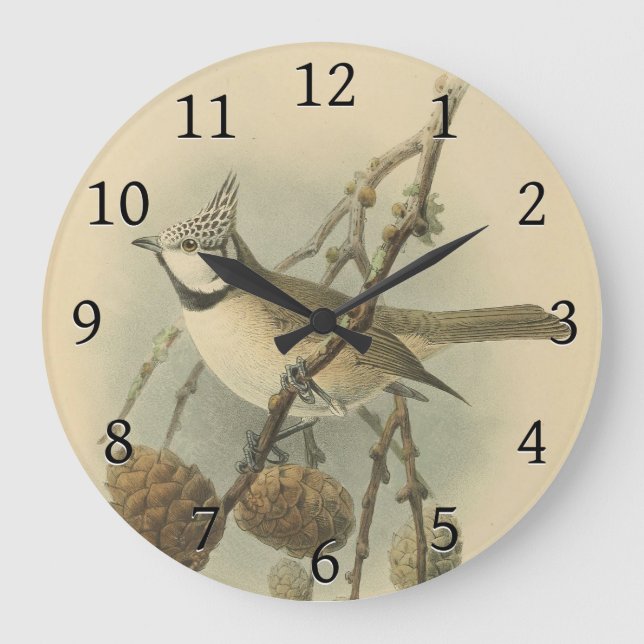 Vintage Illustration of European Crested Tit Large Clock (Front)