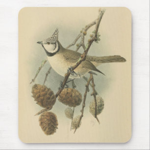 Vintage Illustration of European Crested Tit Mouse Mat