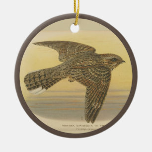 Vintage Illustration of European nightjar Ceramic Tree Decoration