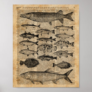 Vintage Illustration of Fishes Over Old Book Page Poster
