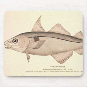 Vintage illustration of Haddock Mouse Mat