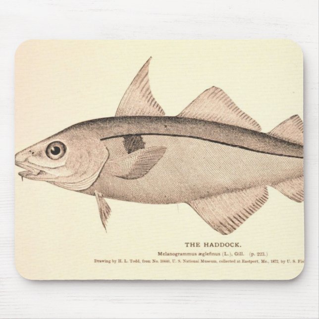 Vintage illustration of Haddock Mouse Mat (Front)
