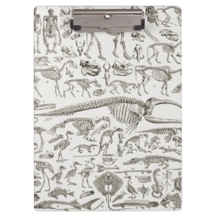 Vintage Illustration of Human & Animal Bones Clipboard