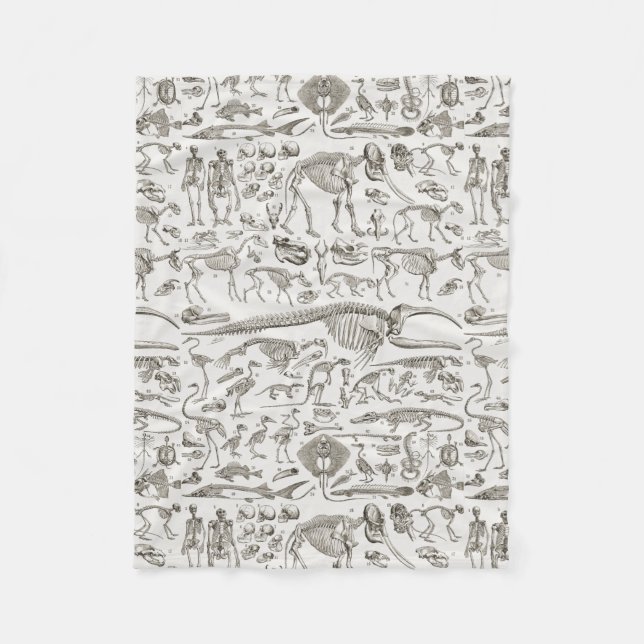 Vintage Illustration of Human & Animal Bones Fleece Blanket (Front)