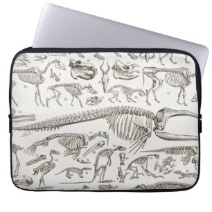 Vintage Illustration of Human & Animal Bones Laptop Sleeve