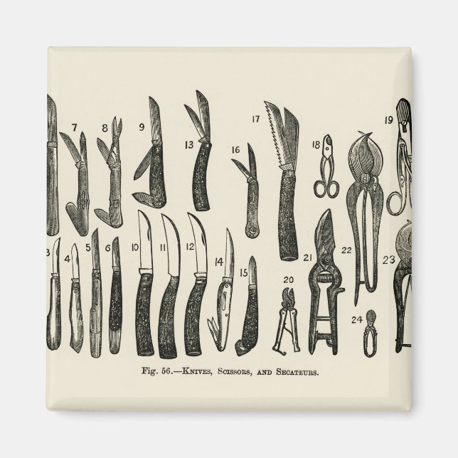 Vintage illustration of knives, scissors, secateur magnet (Front)