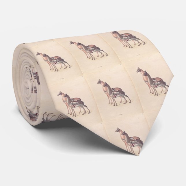 Vintage Illustration of Llamas (1809) Tie (Rolled)