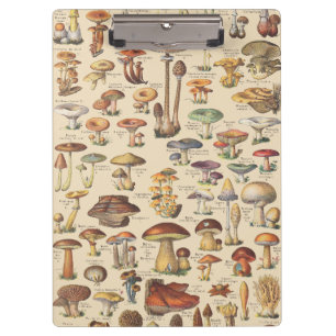 Vintage illustration of mushrooms clipboard