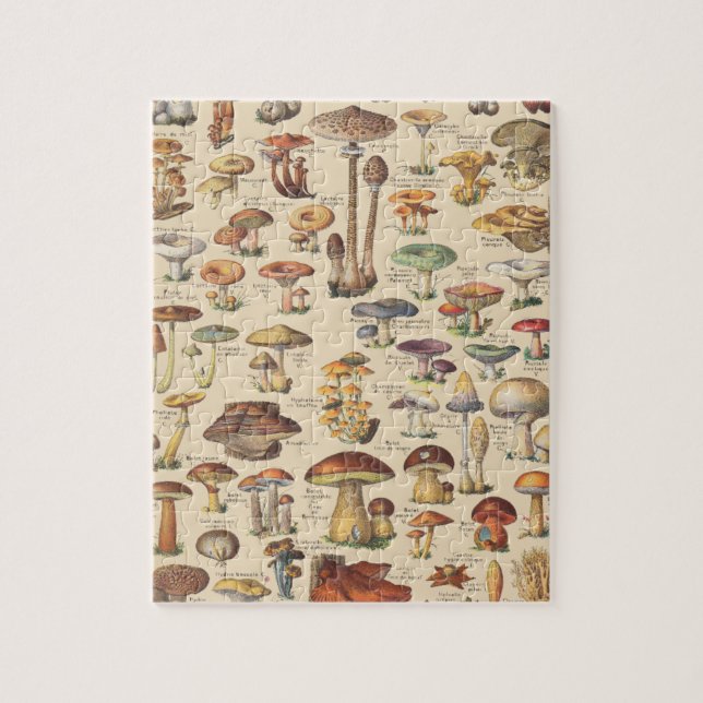 Vintage illustration of mushrooms jigsaw puzzle (Vertical)