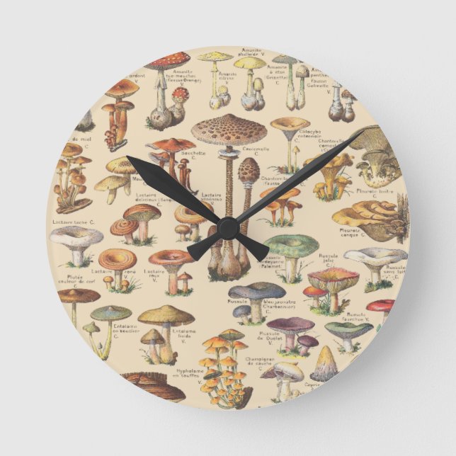 Vintage illustration of mushrooms round clock (Front)