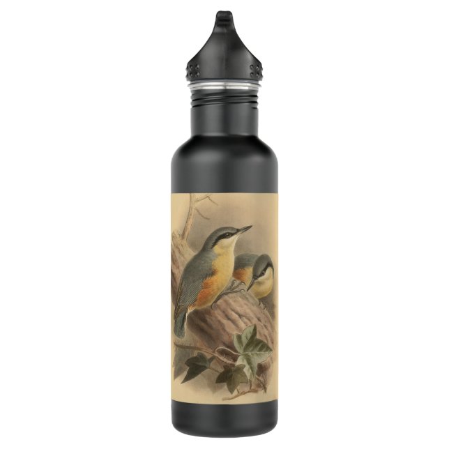 Vintage Illustration of Nuthatch 710 Ml Water Bottle (Right)