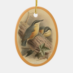 Vintage Illustration of Nuthatch Ceramic Tree Deco Decoration