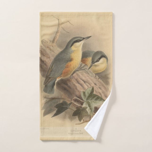 Vintage Illustration of Nuthatch Hand Towel (Hand Towel)