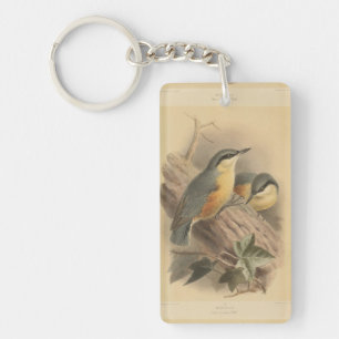 Vintage Illustration of Nuthatch Key Ring