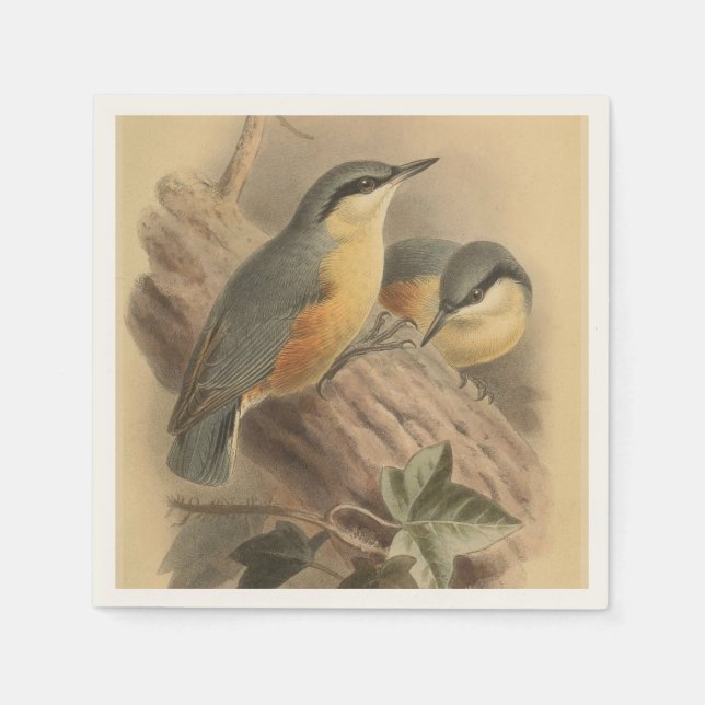 Vintage Illustration of Nuthatch Napkin (Front)