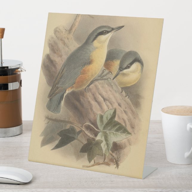Vintage Illustration of Nuthatch Pedestal Sign (In SItu)