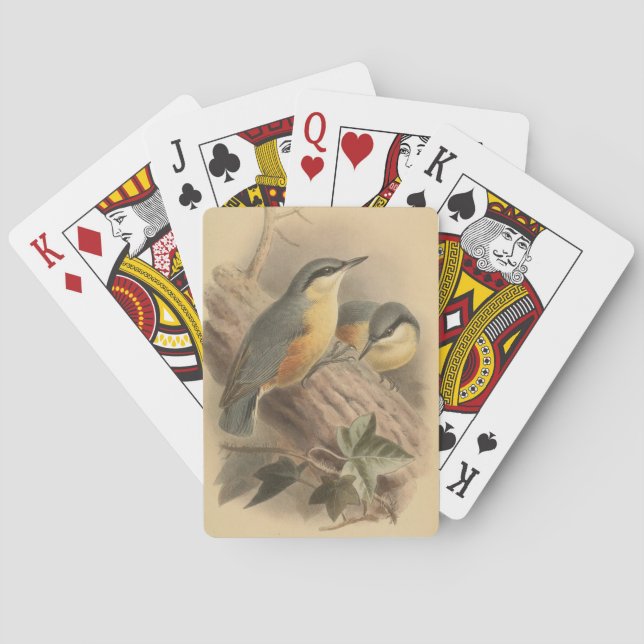 Vintage Illustration of Nuthatch Playing Cards (Back)