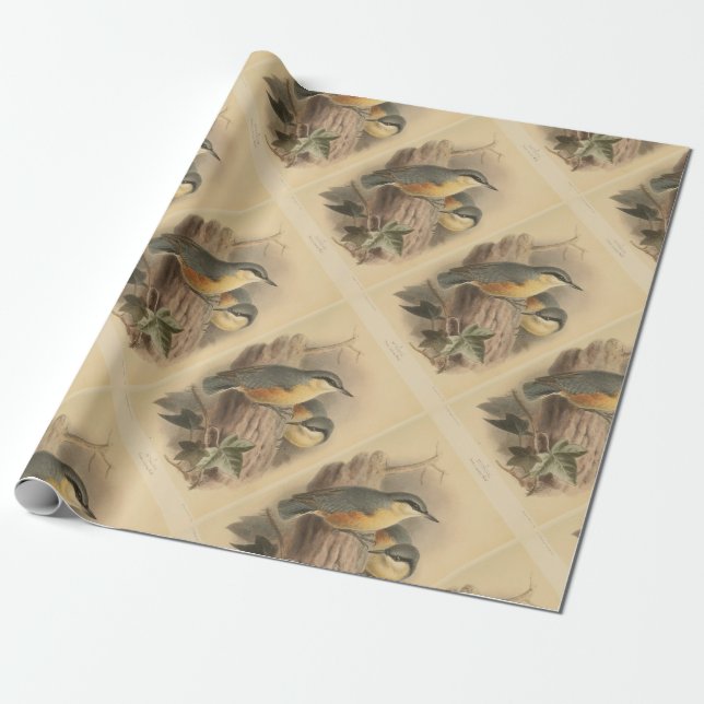 Vintage Illustration of Nuthatch Wrapping Paper (Unrolled)