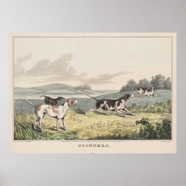 Vintage Illustration of Pointer Dogs (1846) Poster (Front)