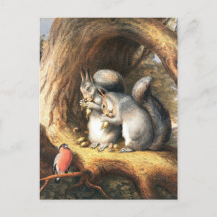 Vintage Illustration of Squirrels and Bird Postcard