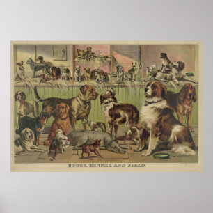 Vintage Illustration of Various Dog Breeds (1893) Poster