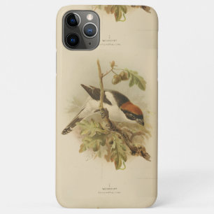 Vintage Illustration of Woodchat Shrike iPhone 11 Pro Max Case