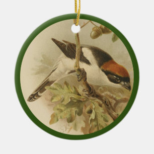 Vintage illustration of woodchat shrike ceramic tree decoration