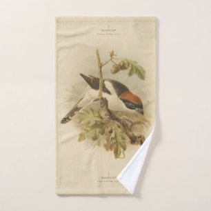Vintage Illustration of Woodchat Shrike Hand Towel