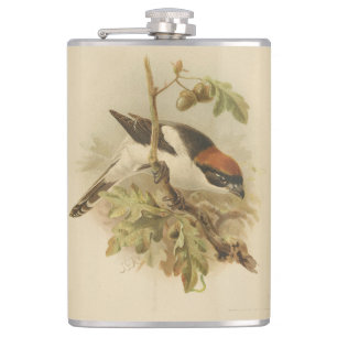 Vintage Illustration of Woodchat Shrike Hip Flask