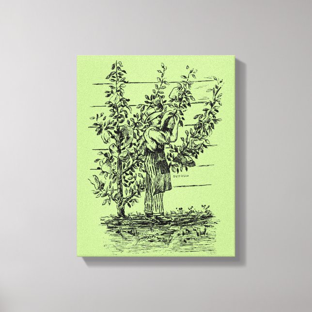 Vintage Illustration Old gardener custom Canvas (Front)