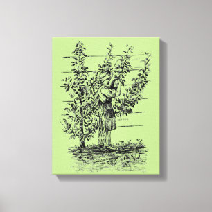 Vintage Illustration Old gardener custom Canvas Print