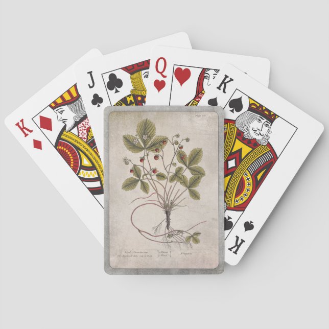 Vintage Illustration Playing Cards - Strawberry (Back)