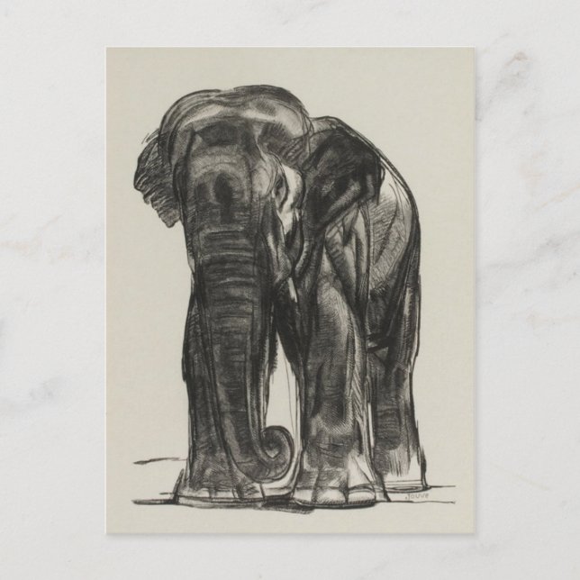 Vintage Illustration Postcard (Front)