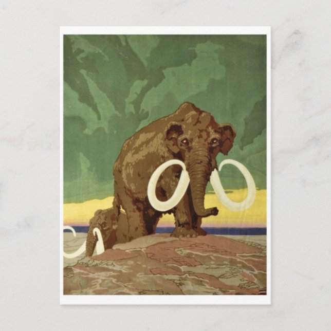 Vintage Illustration Postcard (Front)