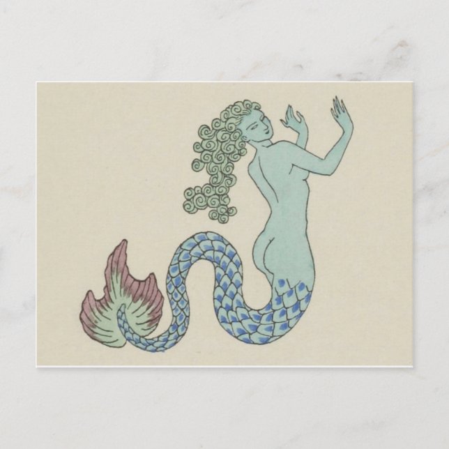 Vintage Illustration Postcard (Front)