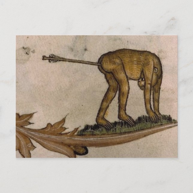 Vintage Illustration Postcard (Front)
