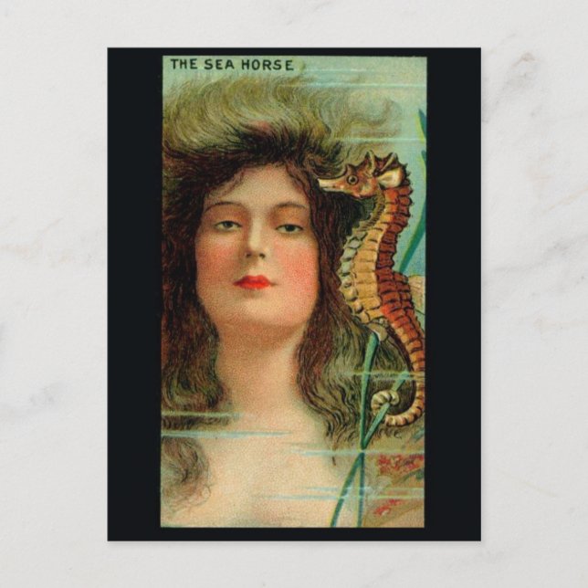 Vintage Illustration Postcard (Front)