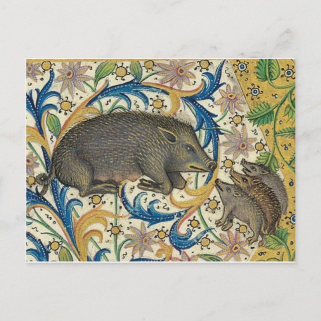 Vintage Illustration Postcard (Front)