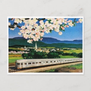 Vintage Illustration Postcard