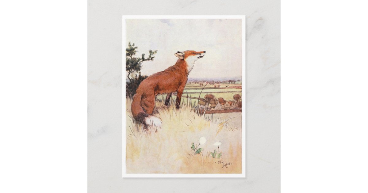 Vintage Illustration Postcard | Zazzle