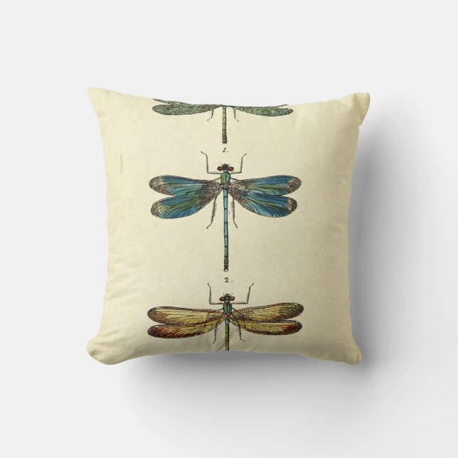 Vintage Illustration, Three Dragonflies Cushion (Front)