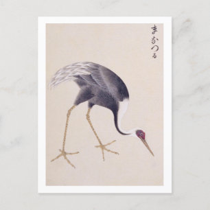 Vintage illustration: White-naped crane Postcard